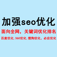 加强seo